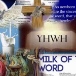 milkword Collage (440x352)