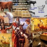 heifer1 Collage (640x512)